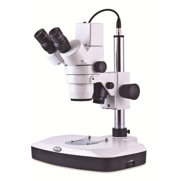 Stereo Zoom Digital Microscope System  Image