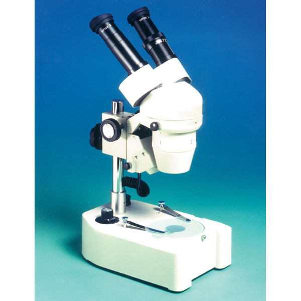 Stereo Microscope Image